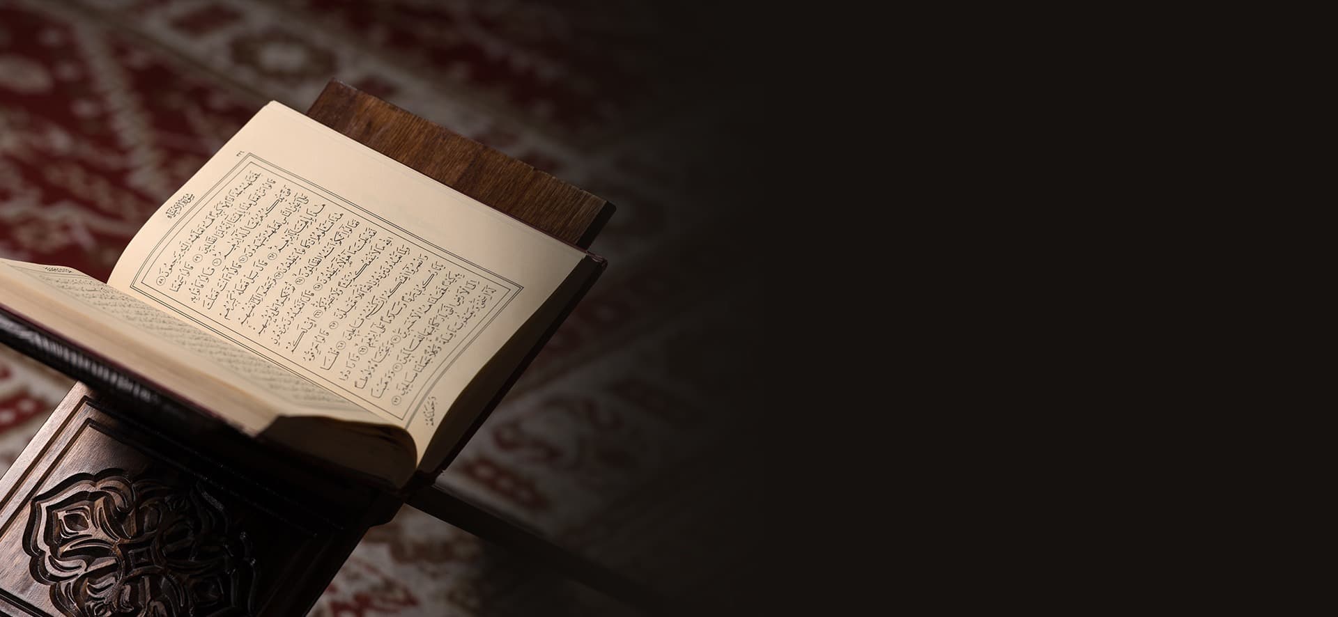 Newsletter Background